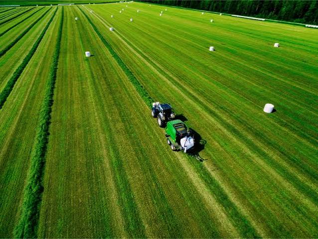 Agriculture